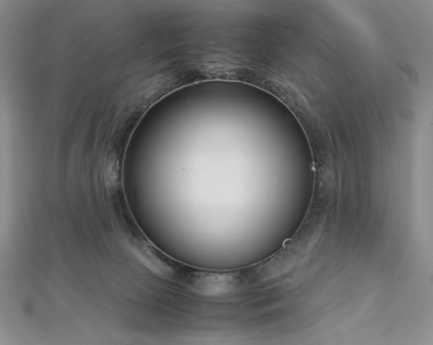 X0000113030081200908271504