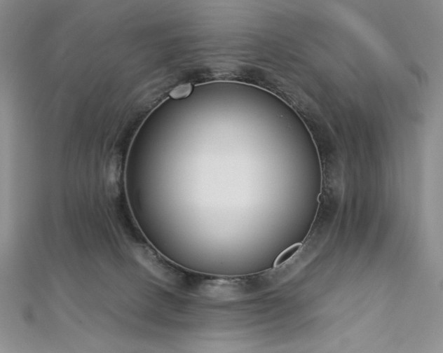 X0000113030082200908271504