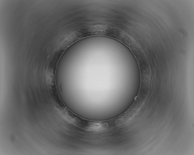 X0000113030083200908271504