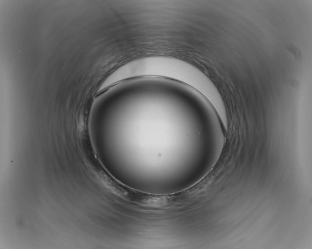 X0000113030084200908271504