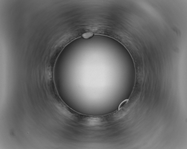 X0000113030085200908271504