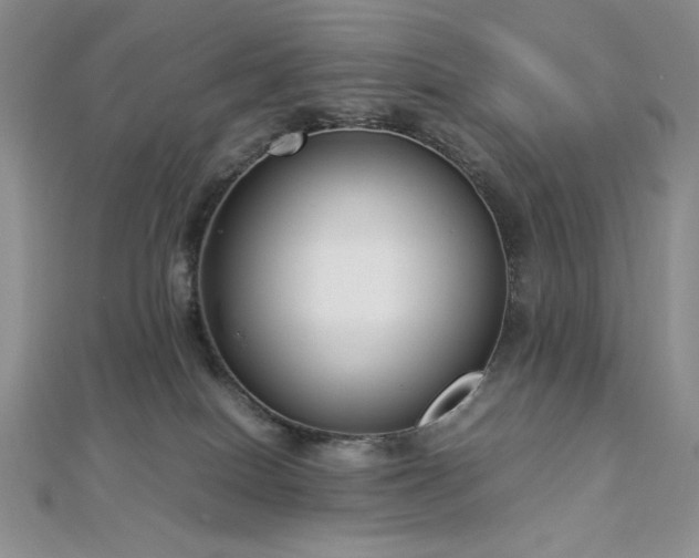 X0000113030086200908271504