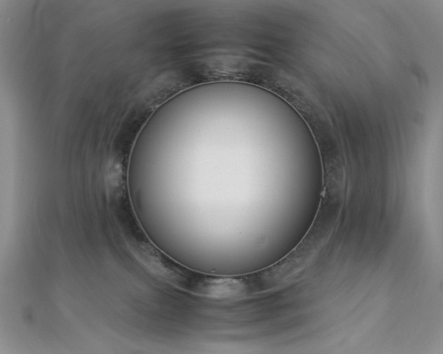 X0000113030087200908271504