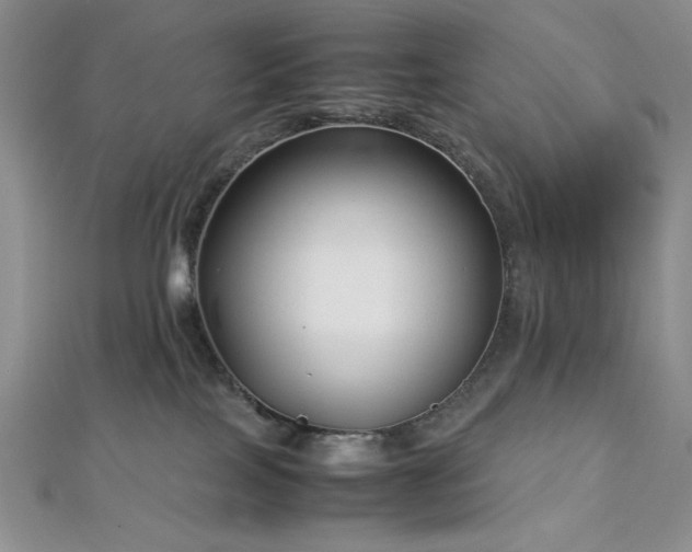 X0000113030089200908271504