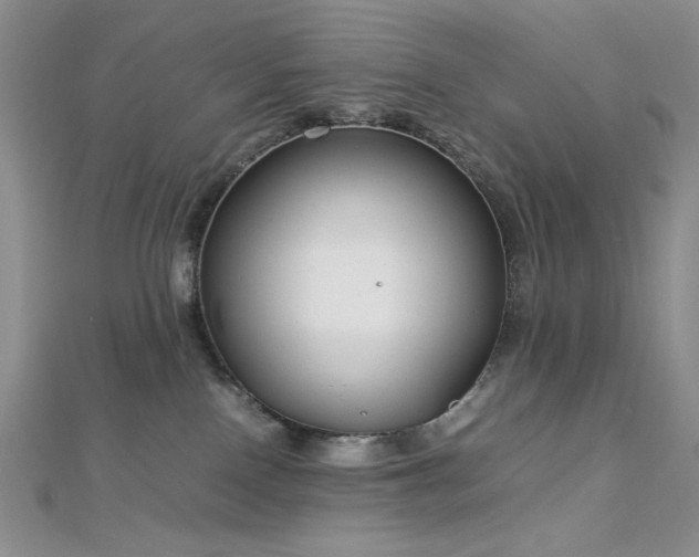 X0000113030090200908271504