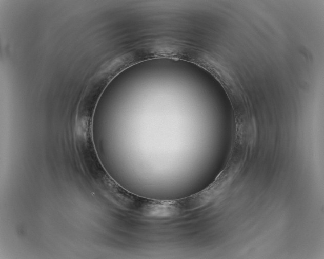 X0000113030093200908271504