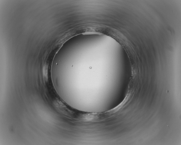 X0000113030094200908271504