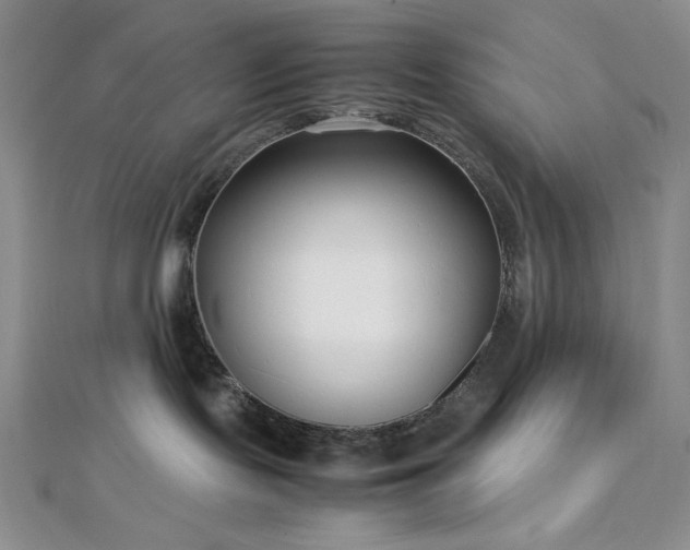 X0000113030095200908271504