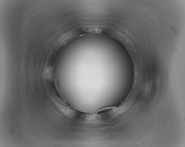 X0000113030096200908271504