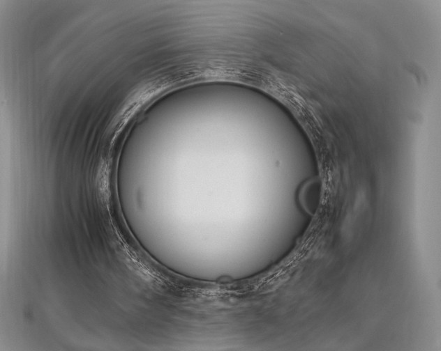 X0000113030098200908271503