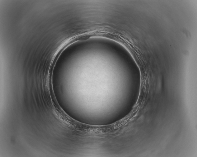 X0000113030100200908271503