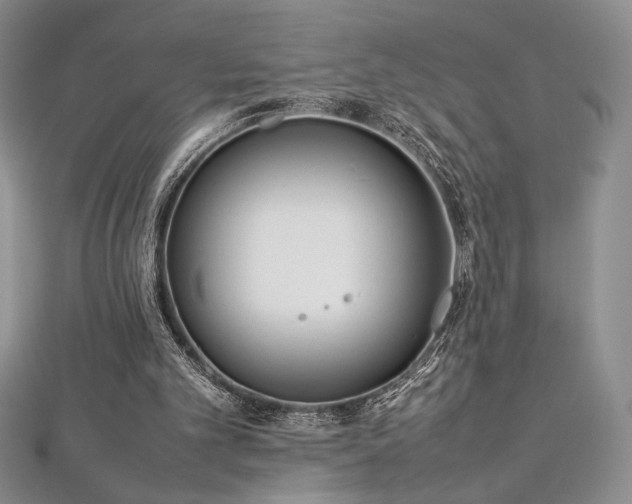 X0000113030101200908271503