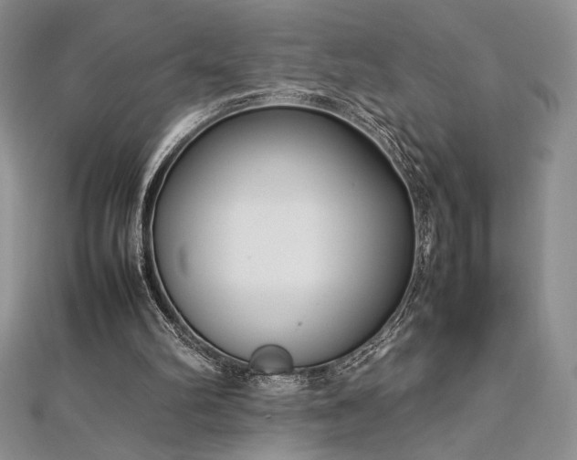 X0000113030102200908271503