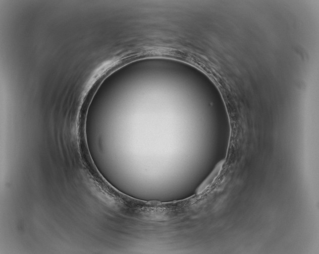 X0000113030104200908271503