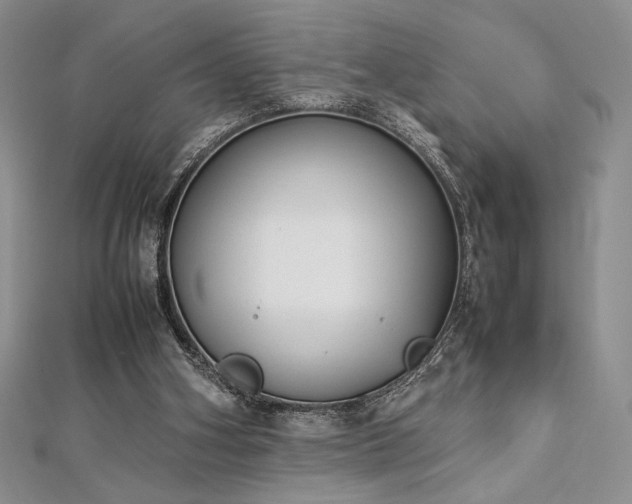 X0000113030106200908271503