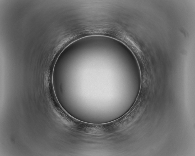 X0000113030107200908271503