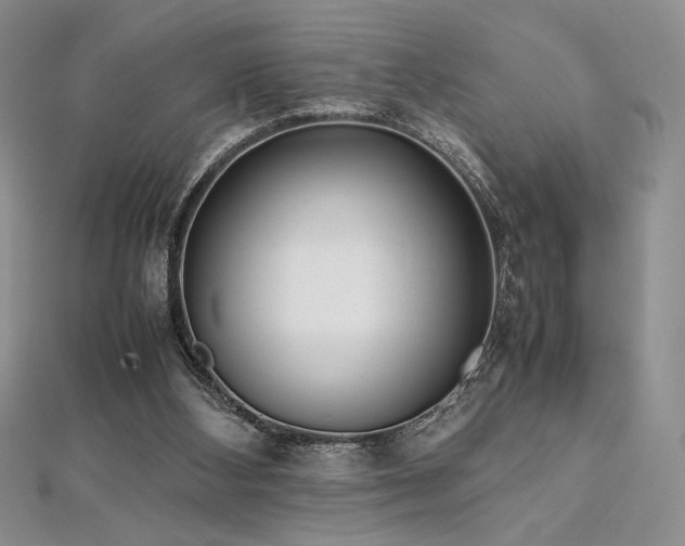 X0000113030108200908271503