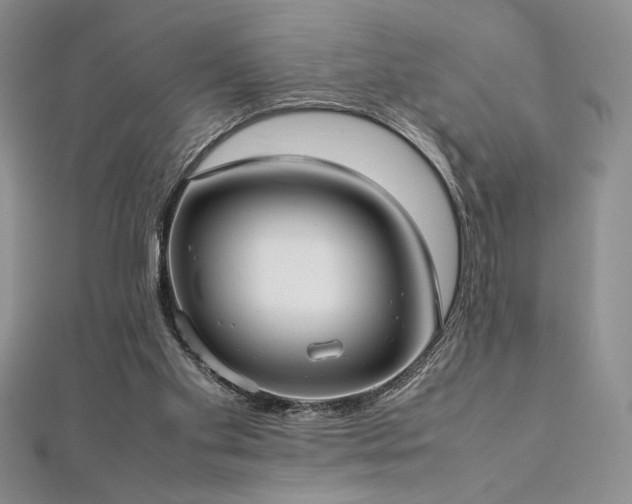 X0000113030109200908271503