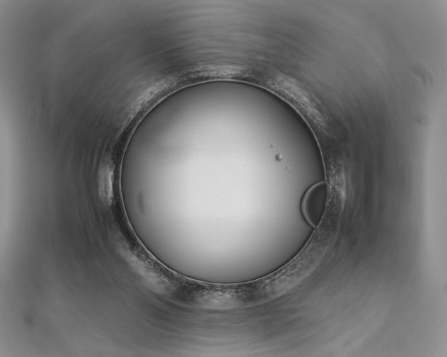 X0000113030110200908271503