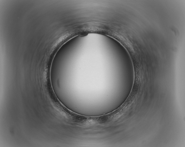 X0000113030111200908271503