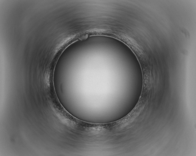 X0000113030112200908271503