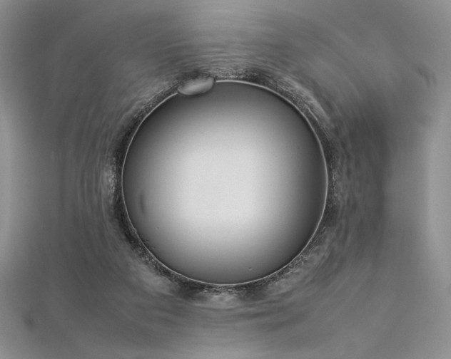 X0000113030113200908271503