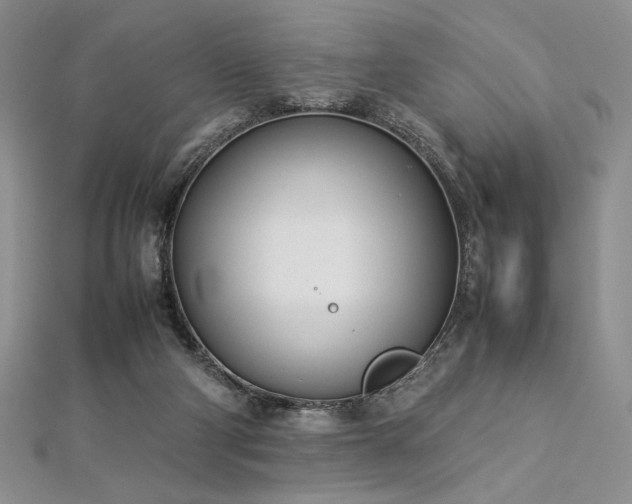 X0000113030114200908271503