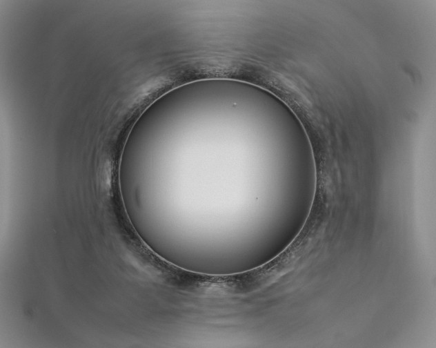 X0000113030115200908271503