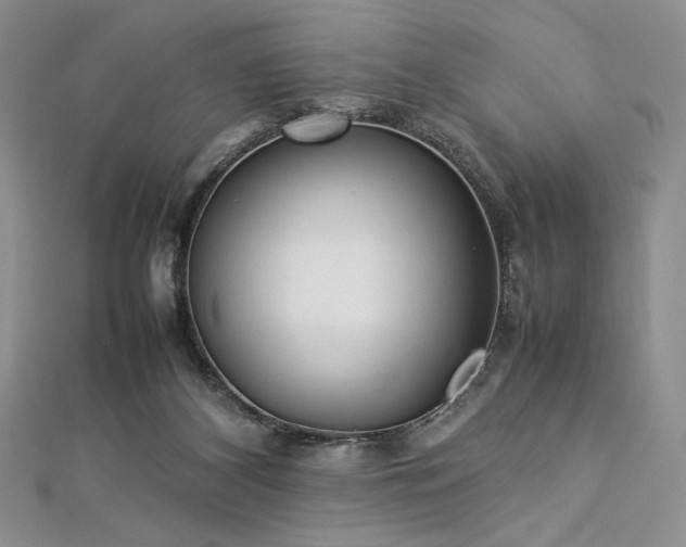 X0000113030116200908271503