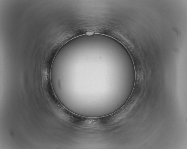 X0000113030117200908271503