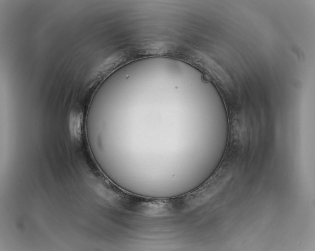 X0000113030118200908271503