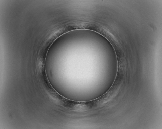 X0000113030119200908271503