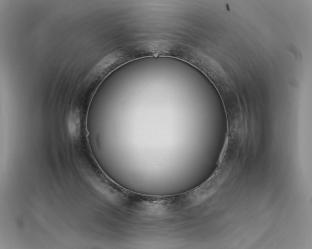 X0000113030120200908271503