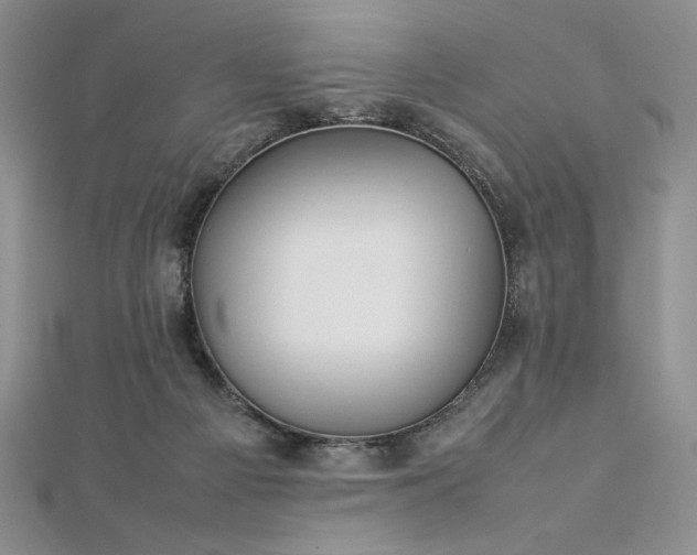 X0000113030121200908271503