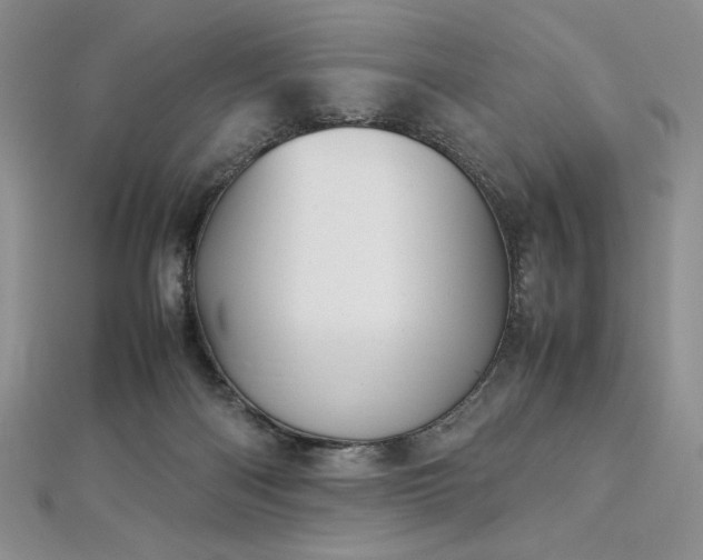 X0000113030122200908271503