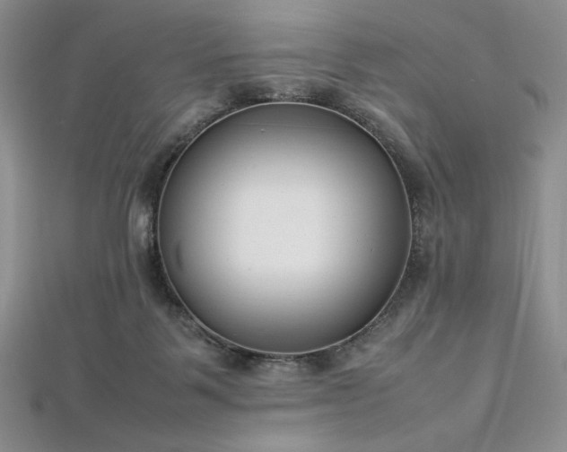 X0000113030123200908271503