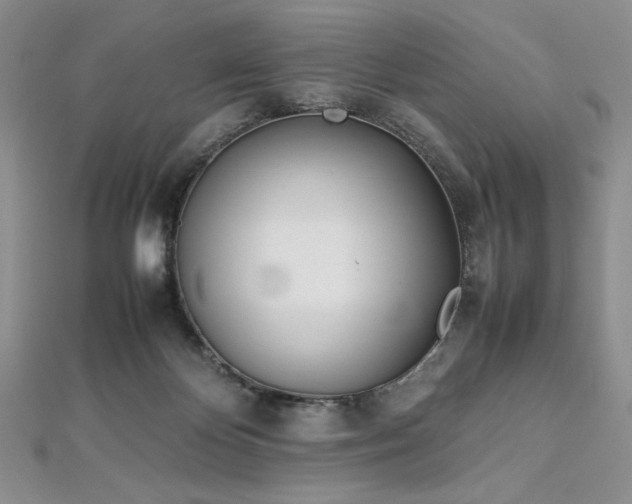 X0000113030124200908271503