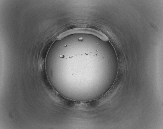 X0000113030125200908271503