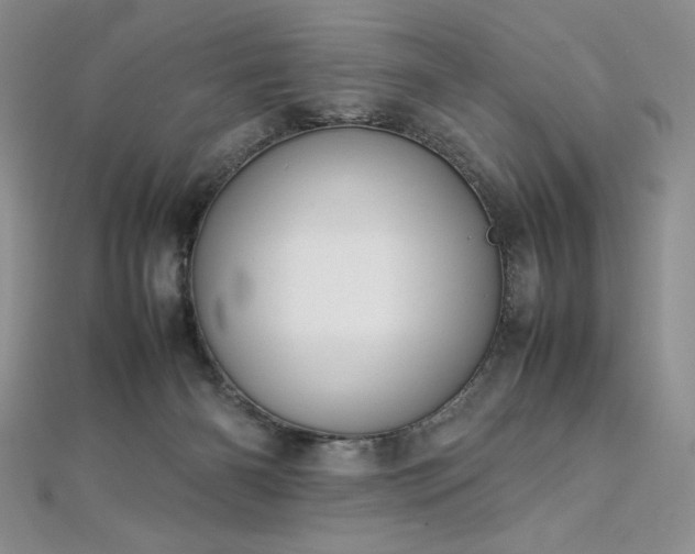 X0000113030126200908271503