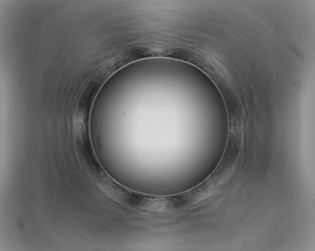 X0000113030127200908271503