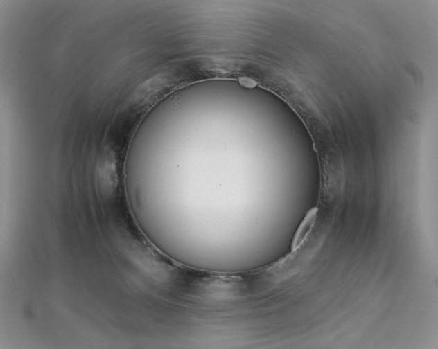 X0000113030128200908271503