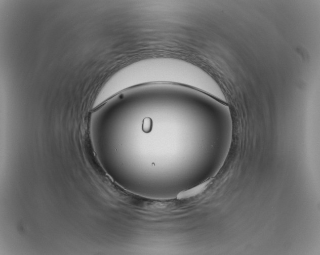 X0000113030129200908271503