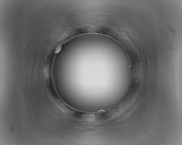 X0000113030131200908271503