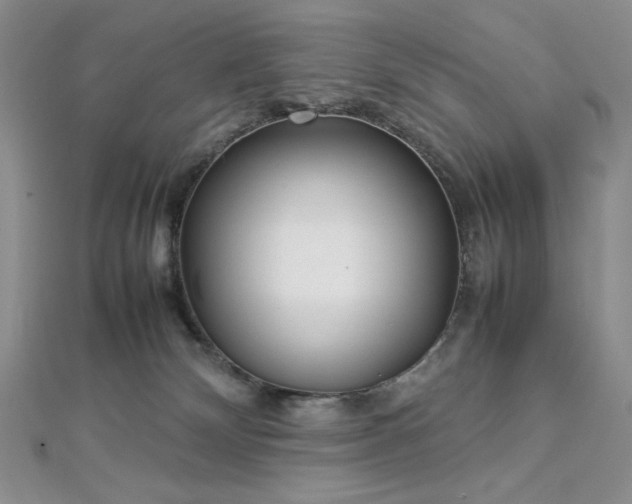 X0000113030132200908271503