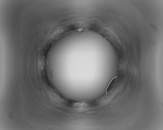 X0000113030133200908271503