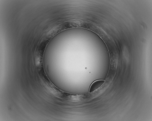 X0000113030134200908271503