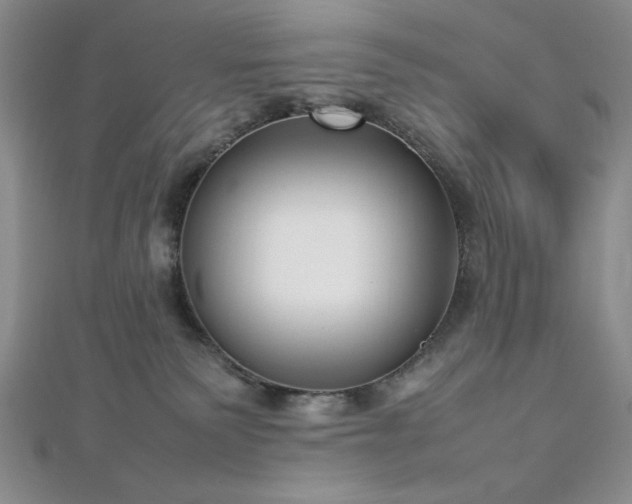 X0000113030135200908271503