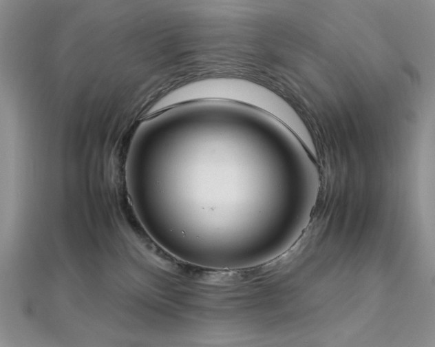 X0000113030136200908271503