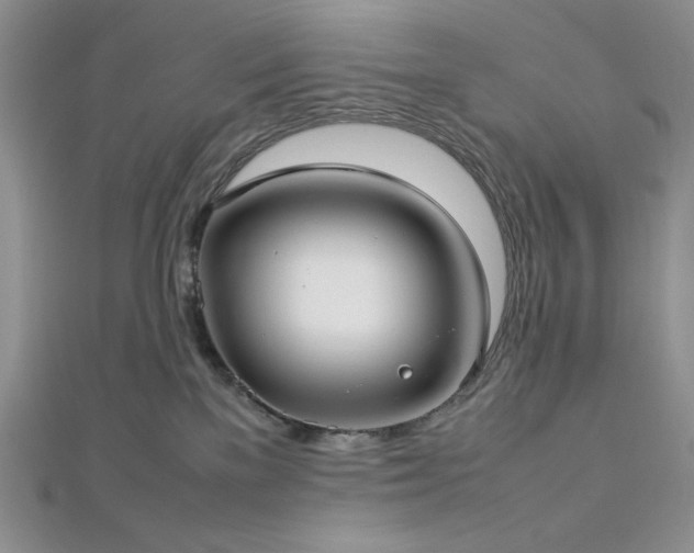 X0000113030137200908271503