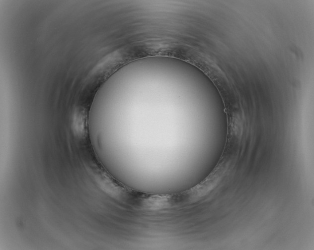 X0000113030138200908271503